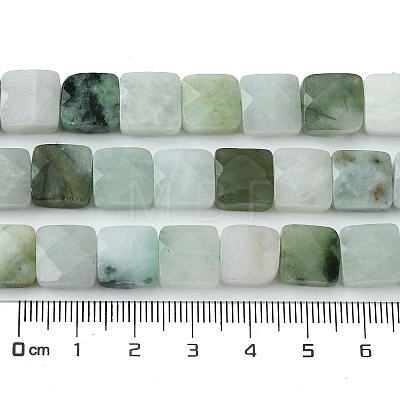 Natural Myanmar Jadeite Beads Strands G-A092-C01-02-1