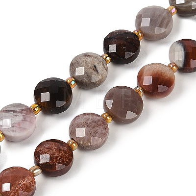 Natural Petrified Wood Beads Strands G-B094-A10-01-1