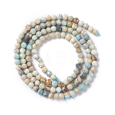 Natural Imperial Jasper Beads Strands G-L578-A03-1