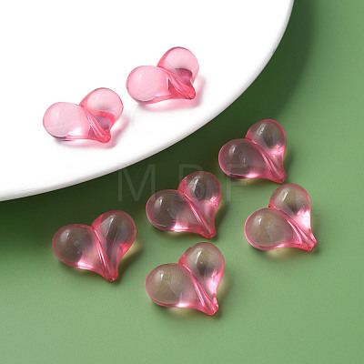 Transparent Acrylic Beads MACR-S373-70-B04-1