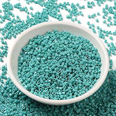 Opaque Glass Seed Beads SEED-S042-22B-04-1