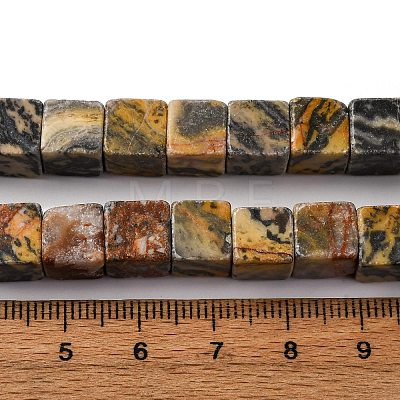 Natural Map Stone Beads Strands X-G-T139-8x8-45B-1