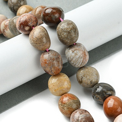 Natural Fossil Coral Beads Strands G-G117-A01-01-1