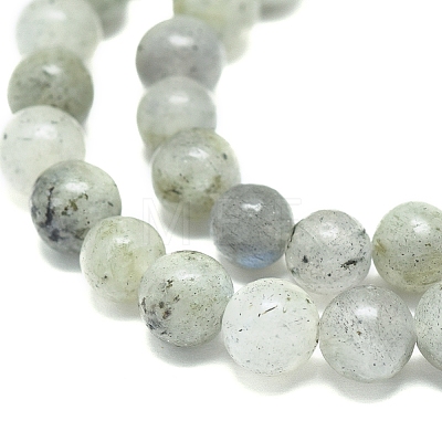 Natural Labradorite Beads Strands G-G828-01-6mm-1