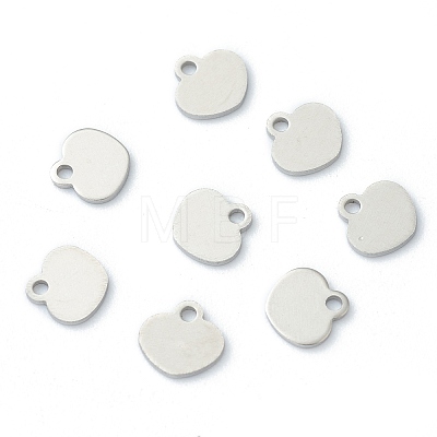 304 Stainless Steel Charms STAS-H149-03P-1
