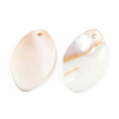 Natural Freshwater Shell Pendants SHEL-N026-214B-B01-1
