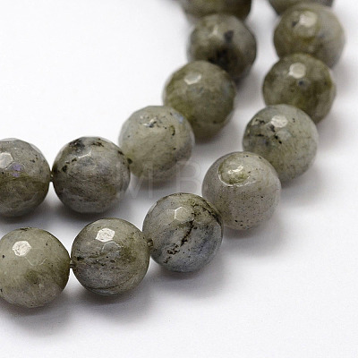 Faceted Natural Labradorite Beads Strands G-F364-17-8mm-1