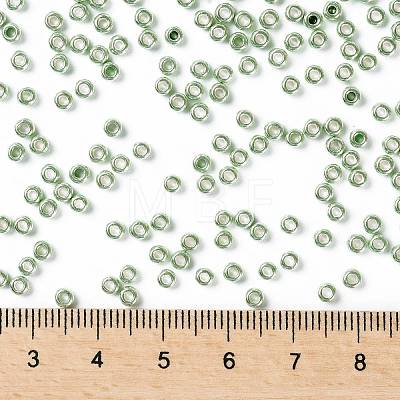 TOHO Round Seed Beads X-SEED-TR08-0560-1