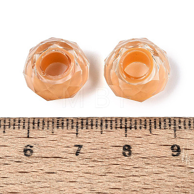 Resin European Beads RESI-Q236-01A-07-1