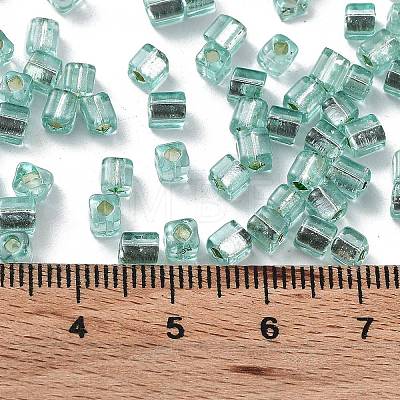 Glass Seed Beads SEED-M011-01A-13-1
