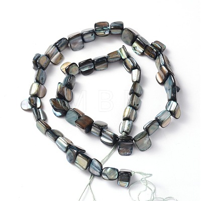 Erose Shell Beads Strands PBB070Y-1