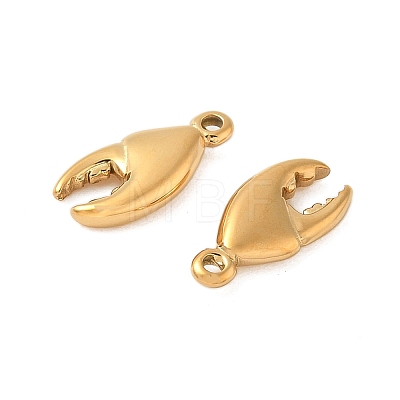 304 Stainless Steel Charms STAS-K306-14G-1