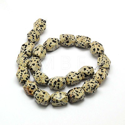 Natural Dalmatian Jasper Faceted Rhombus Beads Strands G-L235-12-1