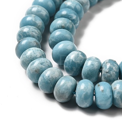 Natural Gemstone Beads Strands G-F730-04C-1