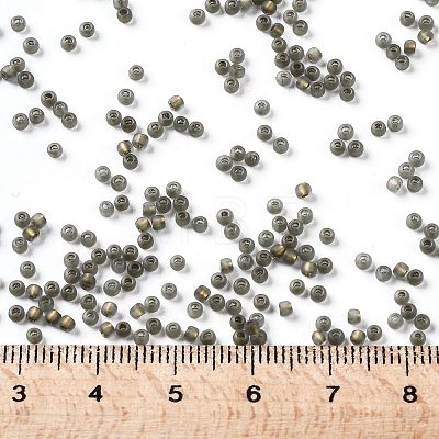 TOHO Round Seed Beads SEED-JPTR11-0271FM-1