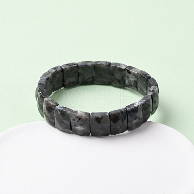 Rectangle Natural Labradorite Beads Stretch Bracelets for Women Men BJEW-Z149-01F-1