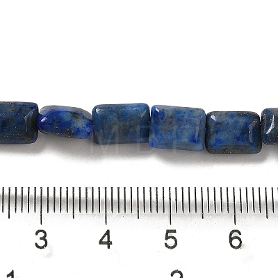 Natural Lapis Lazuli Beads Strands G-G085-A02-01-1