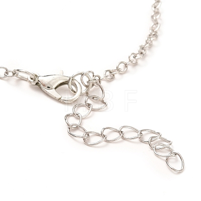 Rack Plating Alloy Heart Pendant Necklaces Sets NJEW-B081-07B-1