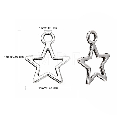 Tibetan Style Alloy Charms X-LF10651Y-NF-1