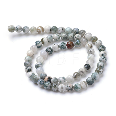 Natural Tree Agate Bead Strands X-G-R411-25-4mm-1