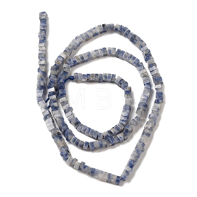 Natural Blue Spot Jasper Beads Strands G-N342-82-1