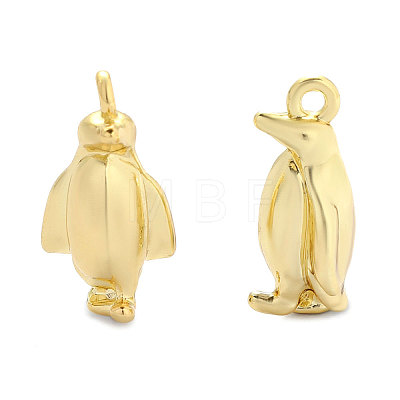 Zinc Alloy Charms AL-OY001-23G-1