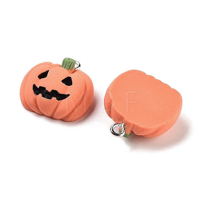 Halloween Theme Opaque Resin Pendants RESI-N039-86-1