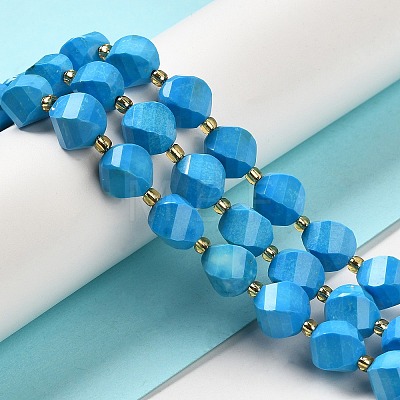 Dyed Natural Howlite Beads Strands G-G023-B01-01A-1