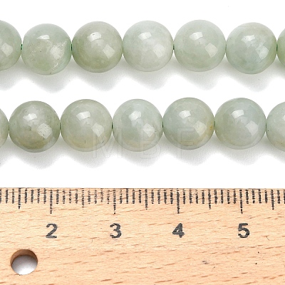 Natural Myanmar Jade/Burmese Jade Beads Strands G-L642-B11-8mm-1