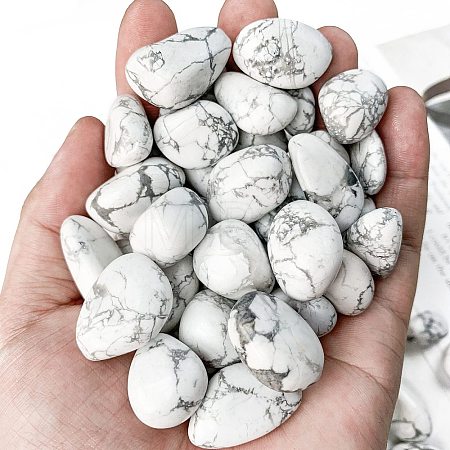 Natural Howlite Healing Stones PW-WGD7FF2-06-1