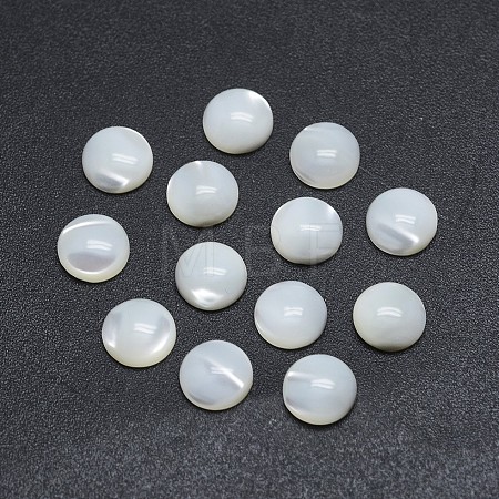 Shell Cabochons SSHEL-P015-61-10mm-1