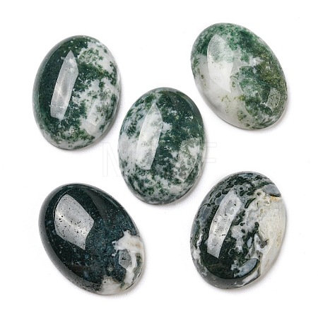 Natural Tree Agate Cabochons G-M430-01-1