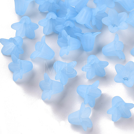 Transparent Acrylic Beads PLF018-06-1