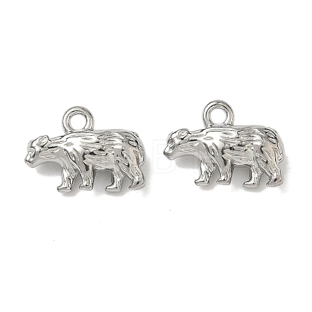 304 Stainless Steel Charms STAS-I367-10P-1