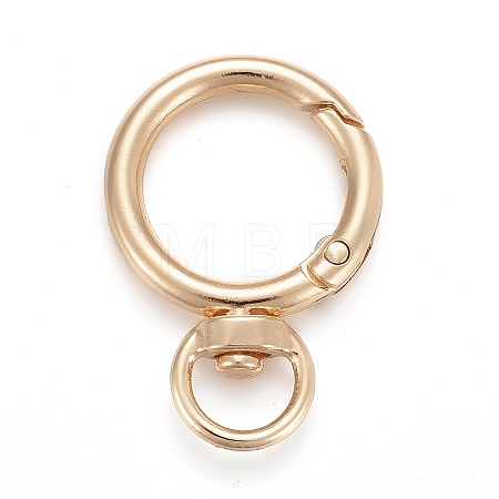 Alloy Swivel Clasps LS-KEYC-H109-01G-1