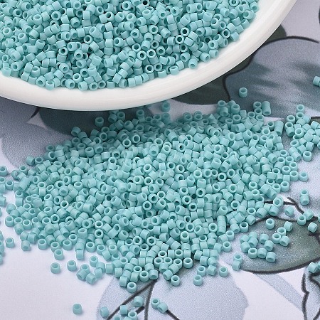 MIYUKI Delica Beads Small X-SEED-J020-DBS1595-1
