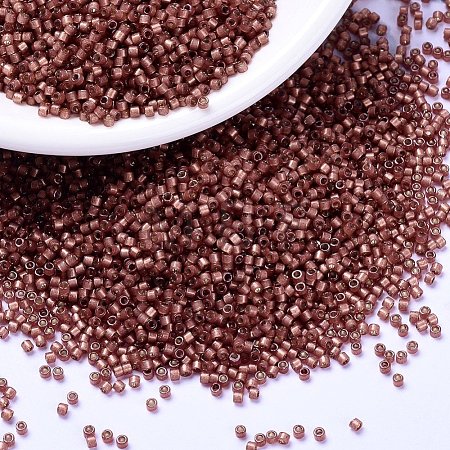MIYUKI Delica Beads X-SEED-J020-DB2179-1
