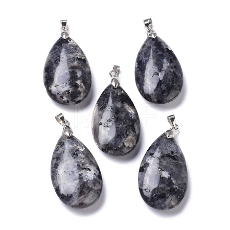 Natural Larvikite Pendants G-D084-01P-B06-1
