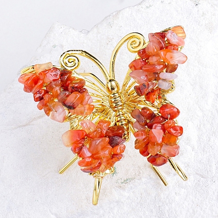 Raw Natural Carnelian Chip Mineral Specimen Display Decorations PW-WG29201-17-1