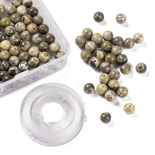 100Pcs 8mm Natural Fossil Coral Round Beads DIY-LS0002-34-1