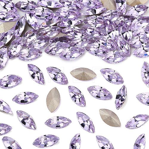 Preciosa® MAXIMA Crystal Fancy Stones X-PRC-FG8-20310-1