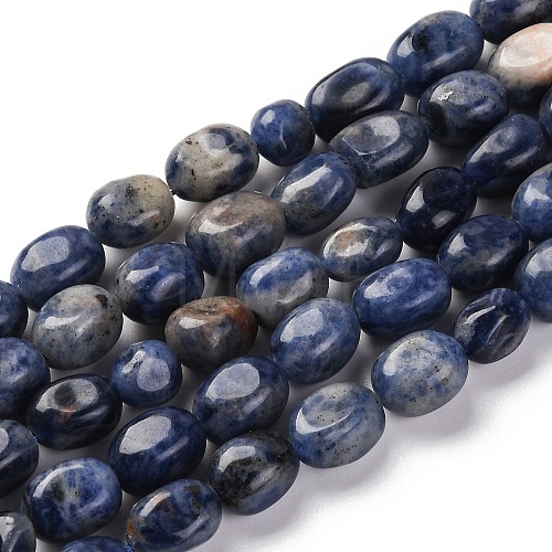 Natural Sodalite Beads Strands G-G146-A03-01-1