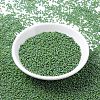 MIYUKI Round Rocailles Beads SEED-G007-RR0480-2