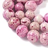 Natural Fossil Graduated Beads Strands G-F830-A03-01B-5