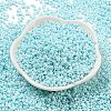 Baking Paint Glass Seed Beads SEED-S042-05A-35-2