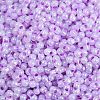 Lustered Glass Seed Beads SEED-K010-04A-2