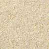 TOHO Round Seed Beads SEED-TR15-0147-2