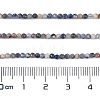 Natural Sodalite Beads Strands X-G-A097-A12-01-4