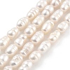 Natural Cultured Freshwater Pearl Beads Strands PEAR-P062-06B-1