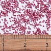 MIYUKI Delica Beads SEED-JP0008-DB1841-4